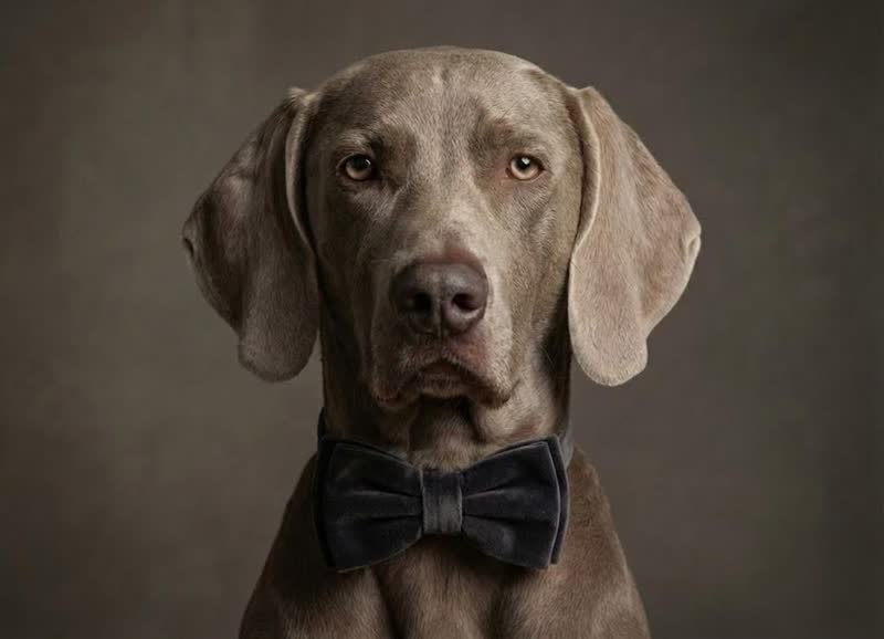 Handcrafted bow tie details